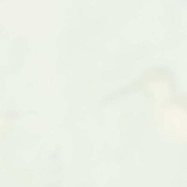 Nærbilde av tapet med subtilt fuglemotiv